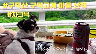 부산에 아직도 이런곳이...??🙀😻/구덕고개 마을 골목길 산책하기~#애견동반 #차크닉 #꽃마을 #구덕고개