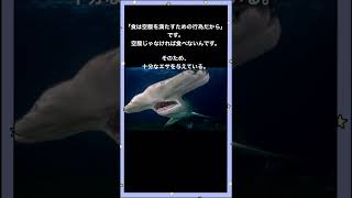 水族館のサメが他の魚を食べない理由とは？