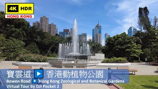 【HK 4K】寶雲道▶️香港動植物公園 | Bowen Road▶️HK Zoological & Botanical Gardens | DJI Pocket 2 | 2021.06.08