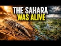 How the Sahara Became Earth’s Largest Desert
