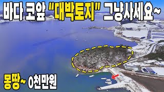 코앞 바다~모두 갖춰진 관리 잘된 임야~ 저렴하게 나왔습니다. 바닷가 A급 토지 가져가세요~단돈~ ?!천만원 1,600평