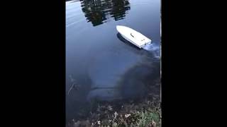 Team Enforcer Offshore RC Boat Dead Battery Incident and Crash