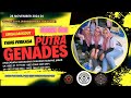 🔴 (SALAHMU SENDIRI) LIVE NGARAK PUTRA GENADES 28 NOVEMBER 2024 SALAM JAYA PABUARAN 🔴 (SORE PRO EZRY)