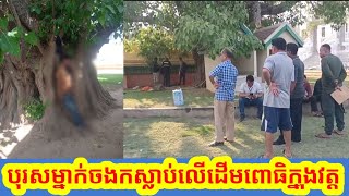 រន្ធត់ខ្លាំងណាស់! ផ្អើលអស់ព្រះសង្ឃ បុរសម្នាក់បញ្ចប់សង្ខាលើដើមពោធិក្នុងវត្ត ថ្ងៃទី 21 មិនា 2024