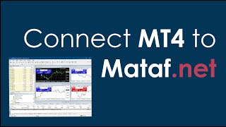 Connect MT4 to Mataf.net