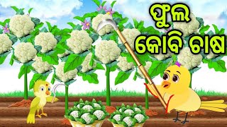 ଟିକି ର ଫୁଲ କୋବି ଚାଷ | Tiki Ra Fula Kobi Chasa | Tiki Chadhei | Odia Gapa | Chadhei Gapa