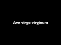 Ave virgo virginum