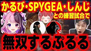 かるび・SPYGEA・しんじの3人とのスクリムで無双してしまう天鬼ぷるる【RFN2練習】【ハイタニ×天鬼ぷるる】【スト6】【SF6】【ストリートファイター6】