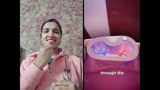 How Mayans Decorated Their Teeth 🤔#IndianSignLanguage #ISL #deafnews