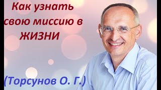 Торсунов О. Г. Как узнать, найти и понять свою миссию человека в жизни.