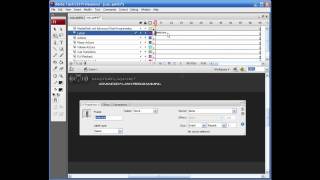 Flash Video Cue Points, learn flash video, flash tutorial, flash training, timecode, actionscript