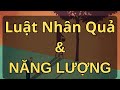 Hiểu Về Nhân Quả Dưới Góc Nhìn Năng Lượng | Luật Hấp Dẫn