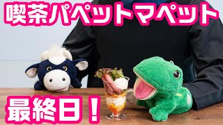 コラボカフェ最終日！パペットマペット雑談生放送🐮🐸