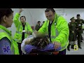 airport security colombia high heels latest documentary 2017