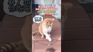 猫咪正叼着老鼠回家吃，结果碰见男子和其对话，小猫会错意太搞笑啦！网友：它是懂人情世故的#cuteanimals #萌宠 #搞笑 #可爱 #funny #治愈 #animals