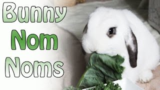 BudgetBunny: Bunny Nom Noms