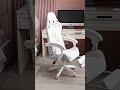 Kursi gaming lucu / Gaming Chair / Kursi Santai Kursi / Gamers / Kursi Gamer / Kursui Putar