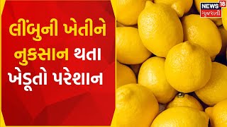 Bhavnagar News | લીંબુના પાક પર માઠી અસર બેઠી | Lemon Price | Gujarat News