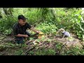 asi es el cultivo de coco en colombia