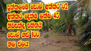 land sale | land sale in sri lanka | agriculture land for sale in sri lanka |idam | kalu malli