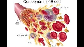 Blood Component Note