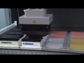 An MCA 96  is using one single DiTi for pipetting.