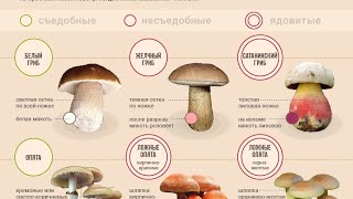 16.01.23 дәріс кәсіпкерлік негіздері №1