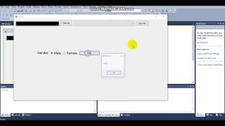 How to use Radio Button . Windows Form Application , Visual Basic