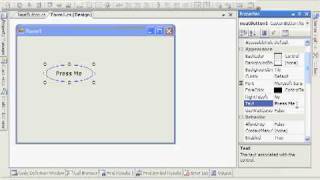 C# Tutorial: Custom Controls