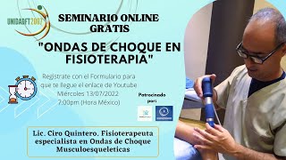 SEMINARIO ONLINE \