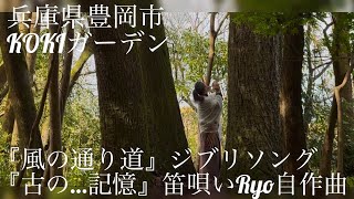 『風の通り道』ジブリソング、『花月』『古の…記憶』笛唄いRyo自作曲 【2024.11.23 兵庫県豊岡市梶原地区 KOKIガーデン 風の生まれる森】 篠笛 篠笛演奏