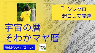 宇宙の暦　そわかマヤ暦　毎日のメッセージ　kin 17音4赤い地球✖️白い許しの魔法使い