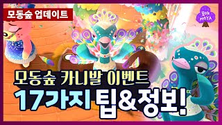 [모동숲 업데이트] 카니발 이벤트 완전 분석! 무지개 깃털 얼마? 소요시간은? 밤에 한다면? 나노 분석과 꿀팁!