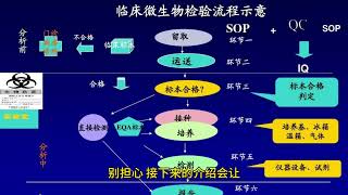 微生物菌落鉴定系统：破解微观世界的密码