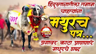 मथुरचे शब्द ऐकून अंगावर काटा आल्याशिवाय राहणार नाही | Bailgada Sharyat | Satarwala Adya |