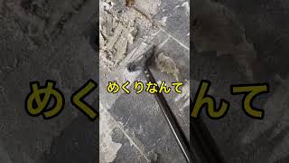 DIYで直貼りフロアの捲りとか絶対に無理説#直貼りフローリング#diy #大工 #リボちゃんねるtv #フローリング