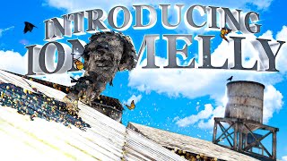 Introducing ioN Melly by ioN Jayy!