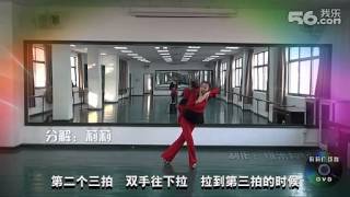 西湖莉莉广场舞－手心里的温柔含分解及背面演示