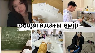 vlog; общагадағы күндеріміз! студенттік өмір!