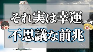 【ゆっくり解説】実は幸運の前触れ？突然に幸運がやってくる時の不思議な前兆サイン11選