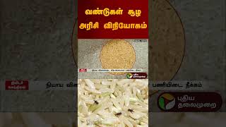 வண்டுகள் சூழ அரிசி விநியோகம் | #nellai | #rationshop | #rice | #shorts