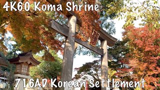 4K Preview Ancient Korean Koma Shrine 2020.11.26 ASMR 高麗神社 Autumn Leave Mountain Nature Zen