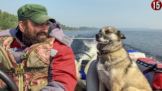 Горит тайга, воды мало. Идем на ощупь, чуть не падая в обморок. ЧТО ДЕЛАТЬ? В эпицентре пожара. 15с.