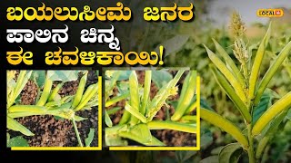 Cluster Beans Farming | ಕಡಿಮೆ ಖರ್ಚಿನಲ್ಲಿ ದುಪ್ಪಟ್ಟು ಲಾಭ ನೀಡುವ ಚವಳಿಕಾಯಿ | #local18