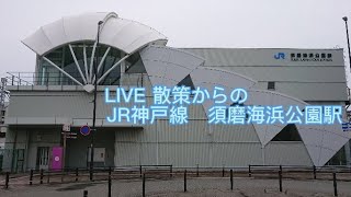 LIVE 散策からのJR神戸線 須磨海浜公園駅/KOBE SUMA-KAIHINKOEN 2021.9.12【nyantegra】