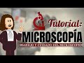 Video tutorial: uso y cuidado del microscopio.