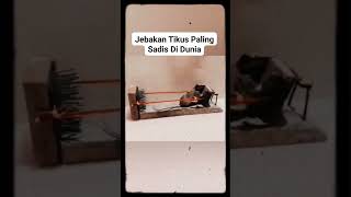 Jebakan Tikus Paling Sadis