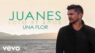 Juanes - Una Flor (Audio)