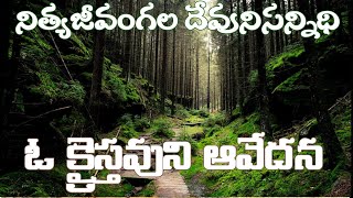 ఓ క్రైస్తవుని ఆవేదన . బాలశౌరి :9866521486