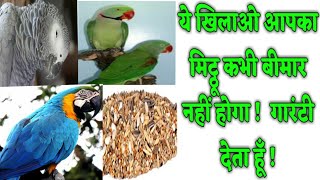 अगर ये खाना खिलाओगे तो आपका तोता कभी बीमार नहीं होगा !!  Parrot Best Healthy food,, in Hindi !!